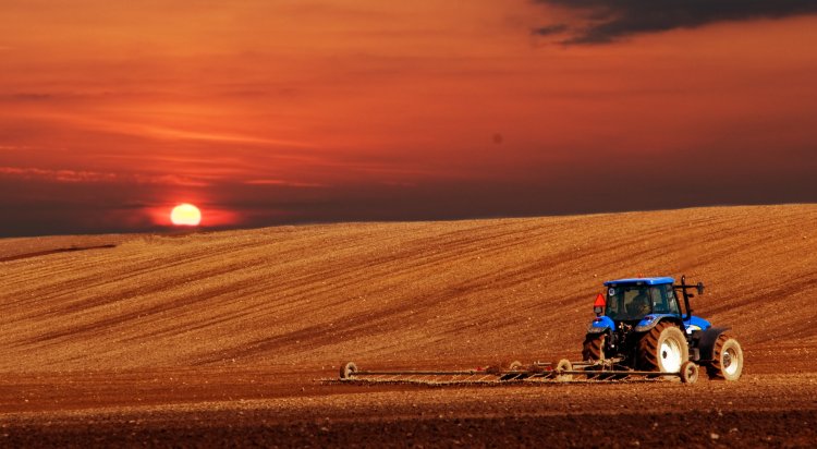Pesquisa Quaest-Faemg: 80% dos mineiros tê avaliação positiva do agro