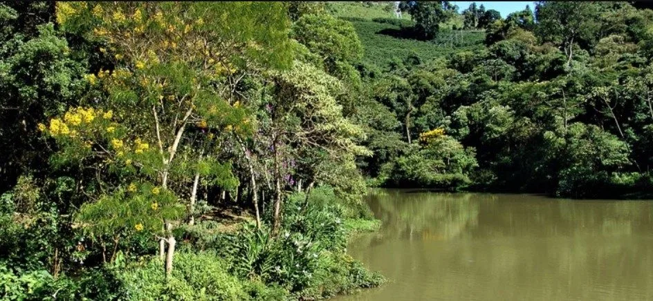 FIEMG cobra sanção integral da nova Lei de Licenciamento Ambiental