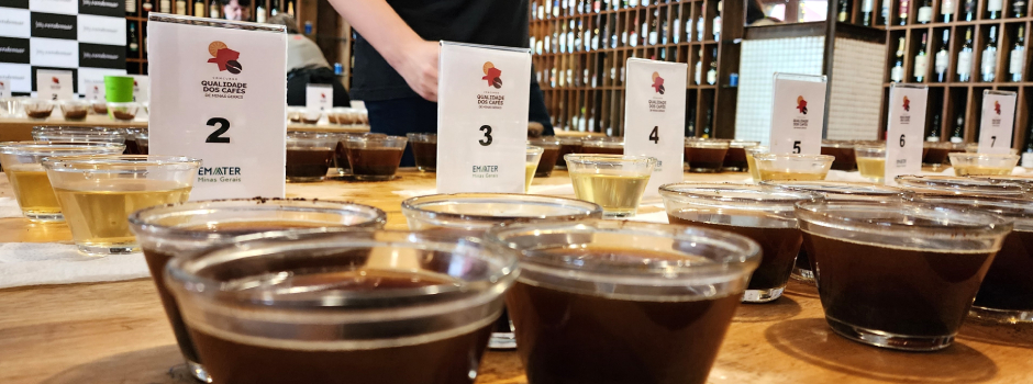 Concurso que escolhe o melhor café de Minas entra na reta final