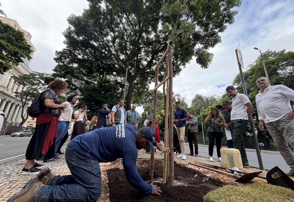 Belo Horizonte atinge meta de 50 mil árvores plantadas em 2025