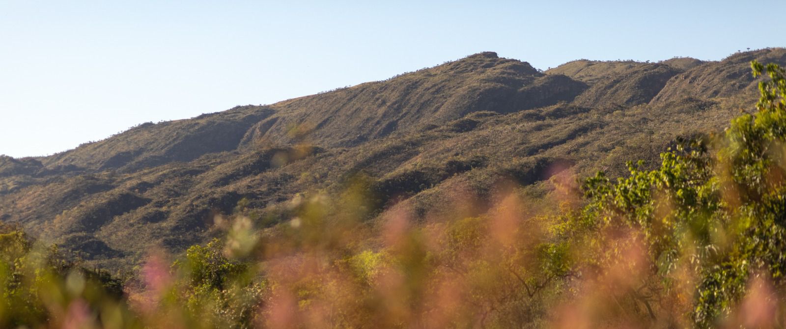 Censo Turismo 2025 aponta avanço da governança e sustentabilidade nos municípios de Minas