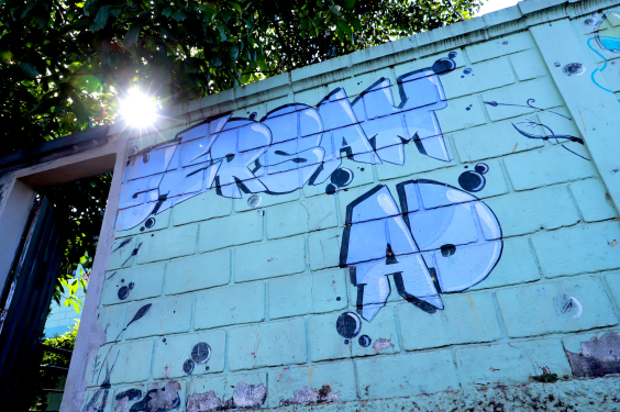 Legislativo reforça ações de saúde mental