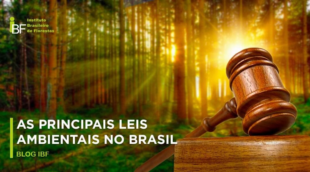 FIEMG promove workshop sobre obrigações legais ambientais