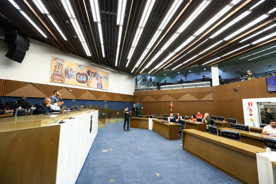 Venda de animais e carroças: projetos avançam na Câmara