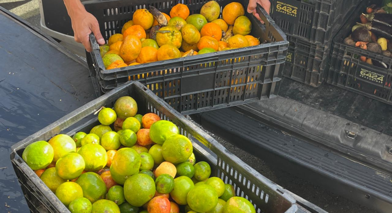 Banco de Alimentos de Belo Horizonte abre recadastramento de entidades