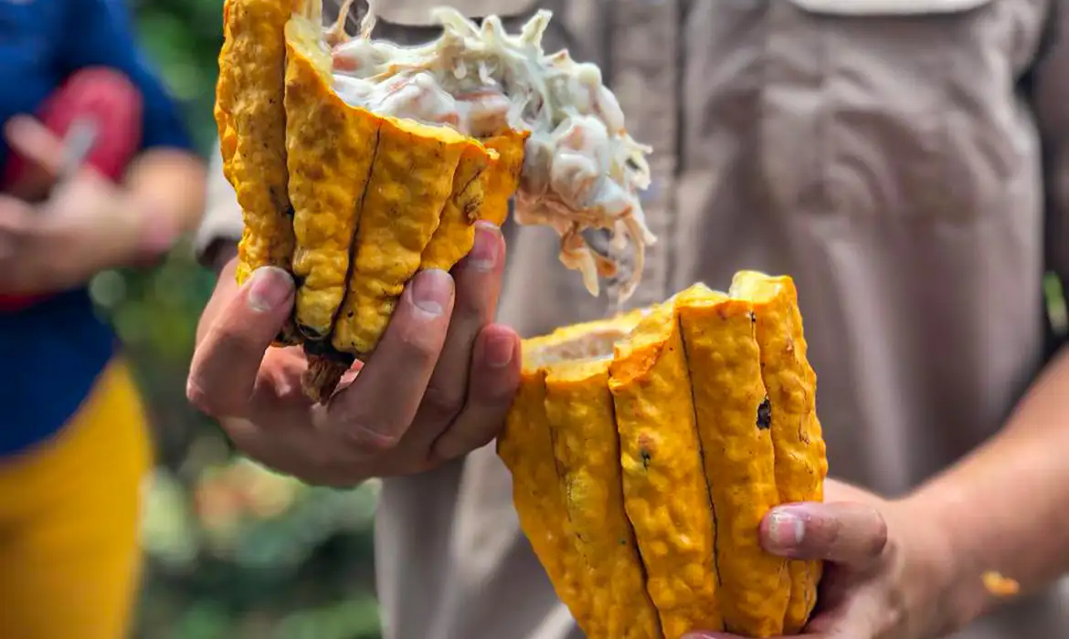 Páscoa de 2026 tem chocolate mais caro