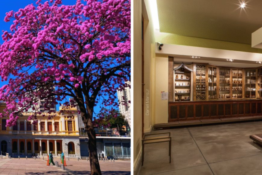 Feira da Estação realiza edição especial de Dia das Mães no SESI Museu de Artes e Ofícios