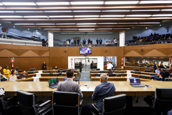 celulares Cristina Medeiros